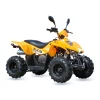 ATV ( Квадроциклы )