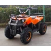 Детские квадроциклы ATV