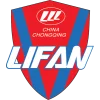 Запчасти для мотоциклов Lifan