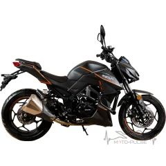 Мотоцикл SPARK SP300R-41