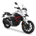 Lifan KPT200-10L 