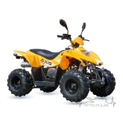 Geon AXIS 110 EFI