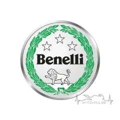 Кольцо уплотнительное крышки масляного фильтра -- GEON (Benelli) TNT 250