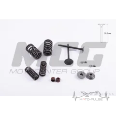 Клапана (пара, в сборе)   4T CB125   (L-76 mm)