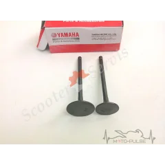 Клапана Yamaha Majesty YP 250 #1