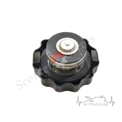 Пробка радиатора Yamaha (c резьбой)