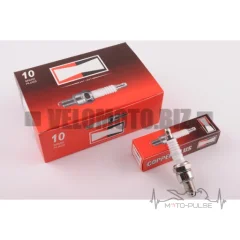 D8TC  M12*1,25 19,0mm "CHAMP"