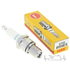NGK 3194 BR9ES