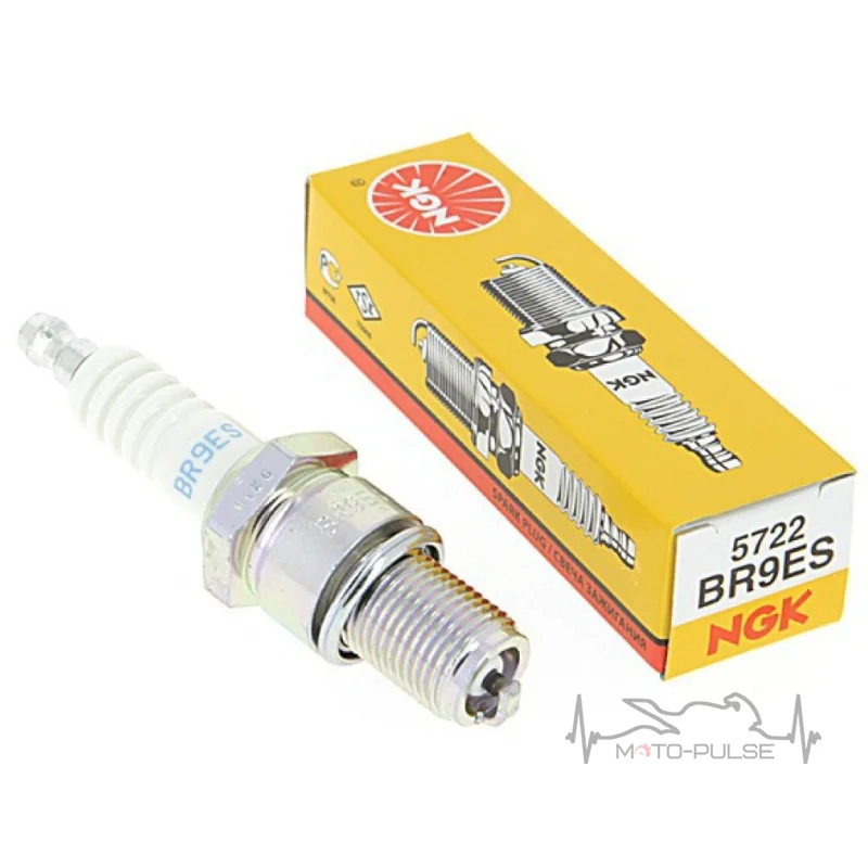 NGK 3194 BR9ES