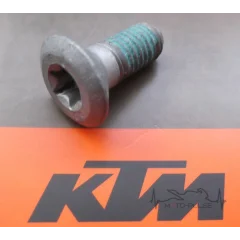 Болт 0019080206S
