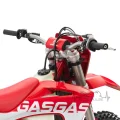 GASGAS EC250F