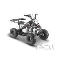Детский квадроцикл ATV ORIX Chix 110 