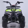 Детский квадроцикл ATV ORIX Chix 110 