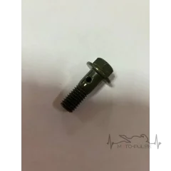 Банжо винт М8