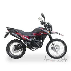 Shineray XY250-6C Light