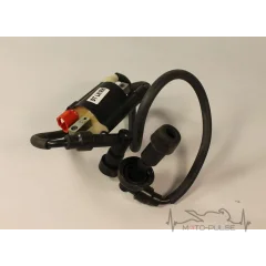 Катушка зажигания Bajaj Dominar 400 UG DT351204