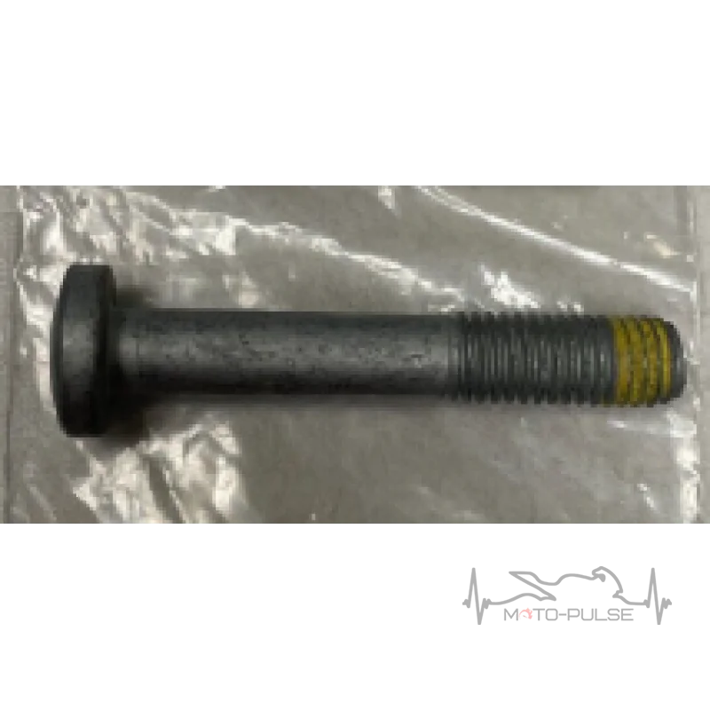 Винт KTM (M10X60 ISA45) 0035100609S