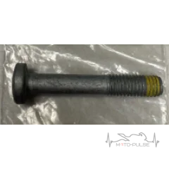 Винт KTM (M10X60 ISA45) 0035100609S