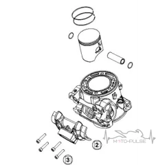 ЦПГ KTM EXC 300 2018 55630038100 / 55630038000
