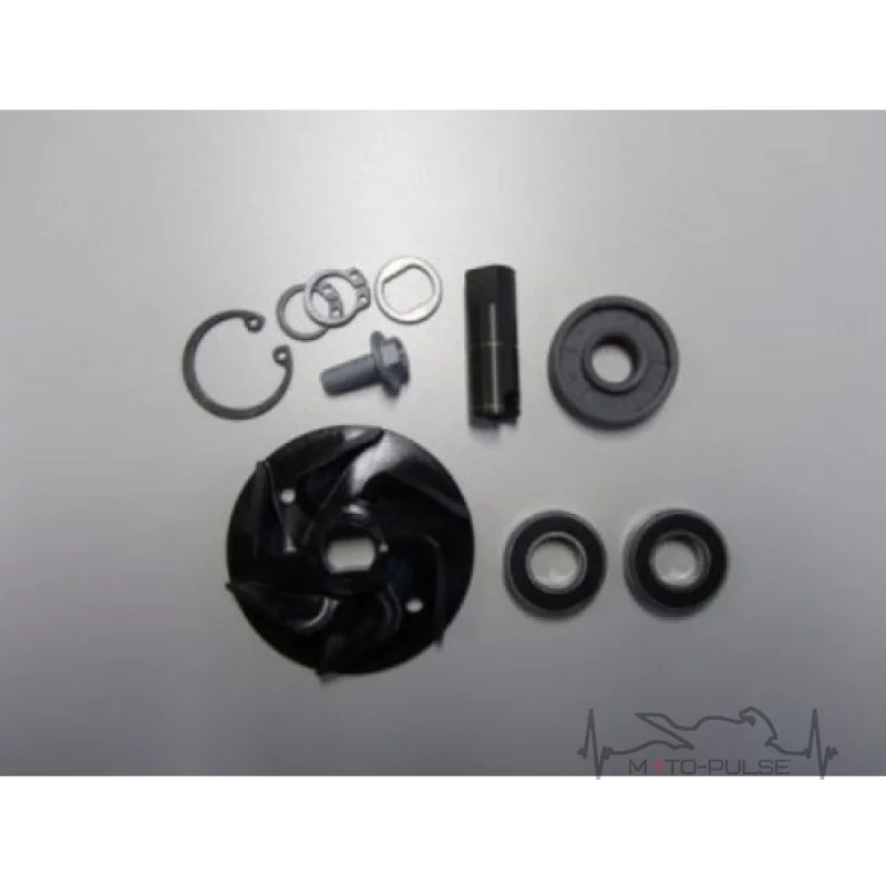 Ремкомплект водяной помпы KTM Adventure 1190 - RC8 13-14 61235055110