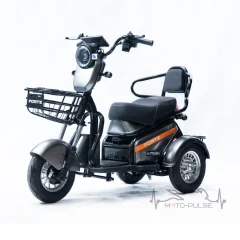 Трицикл электрический Forte S1-P600 Серый