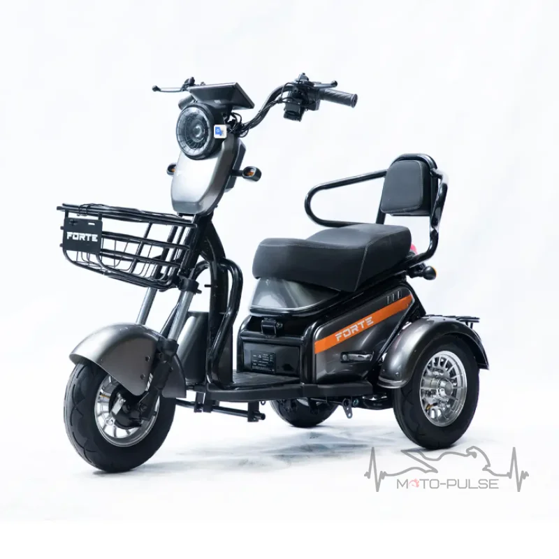 Трицикл электрический Forte S1-P600 Серый