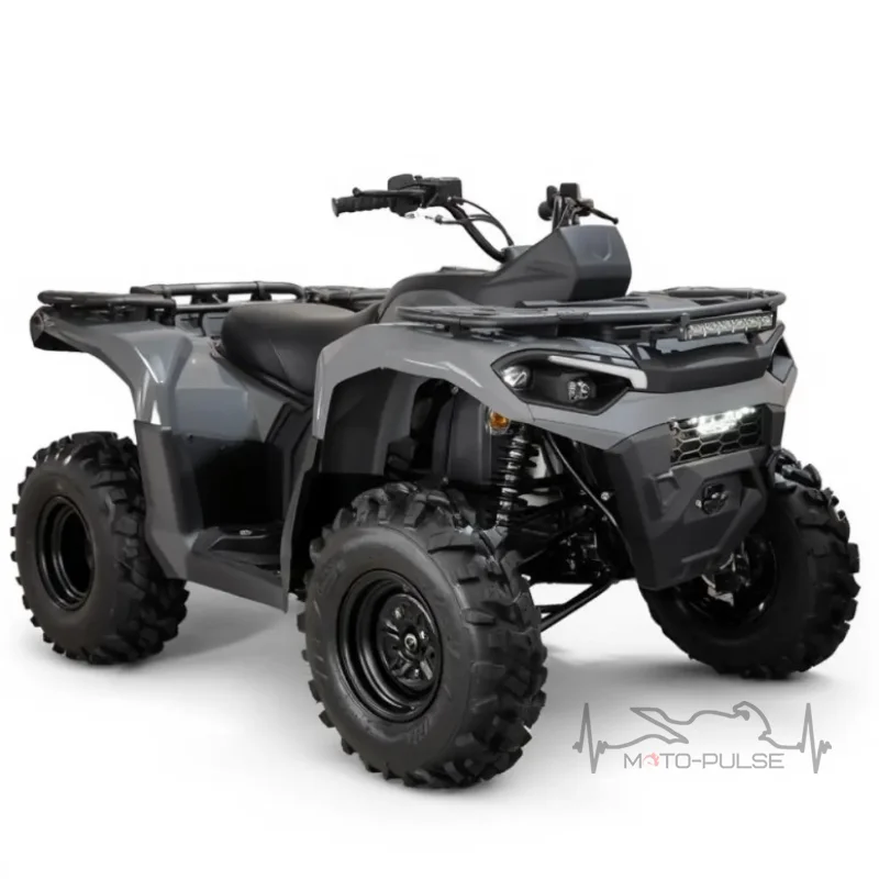 Квадроцикл ACCESS FF800UL