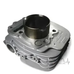 ЦПГ в сборе Bajaj V15 36JH0003