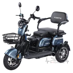 Трицикл аккумуляторный Forte Family-WN1072G