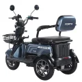 Трицикл аккумуляторный Forte Family-WN1072G