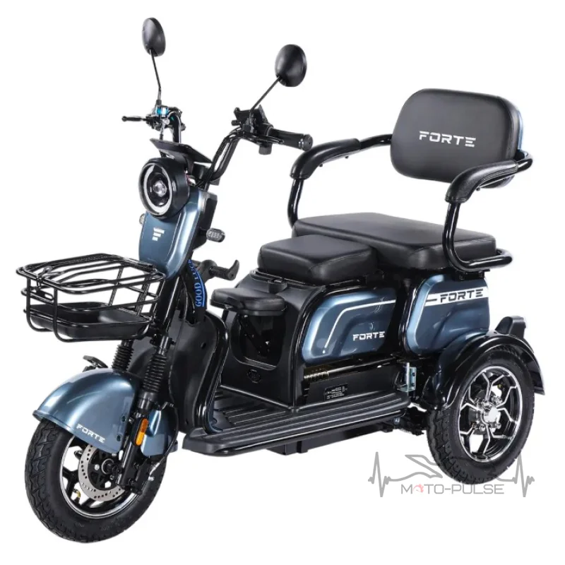 Трицикл аккумуляторный Forte Family-WN1072G