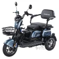 Трицикл аккумуляторный Forte Family-WN1072G